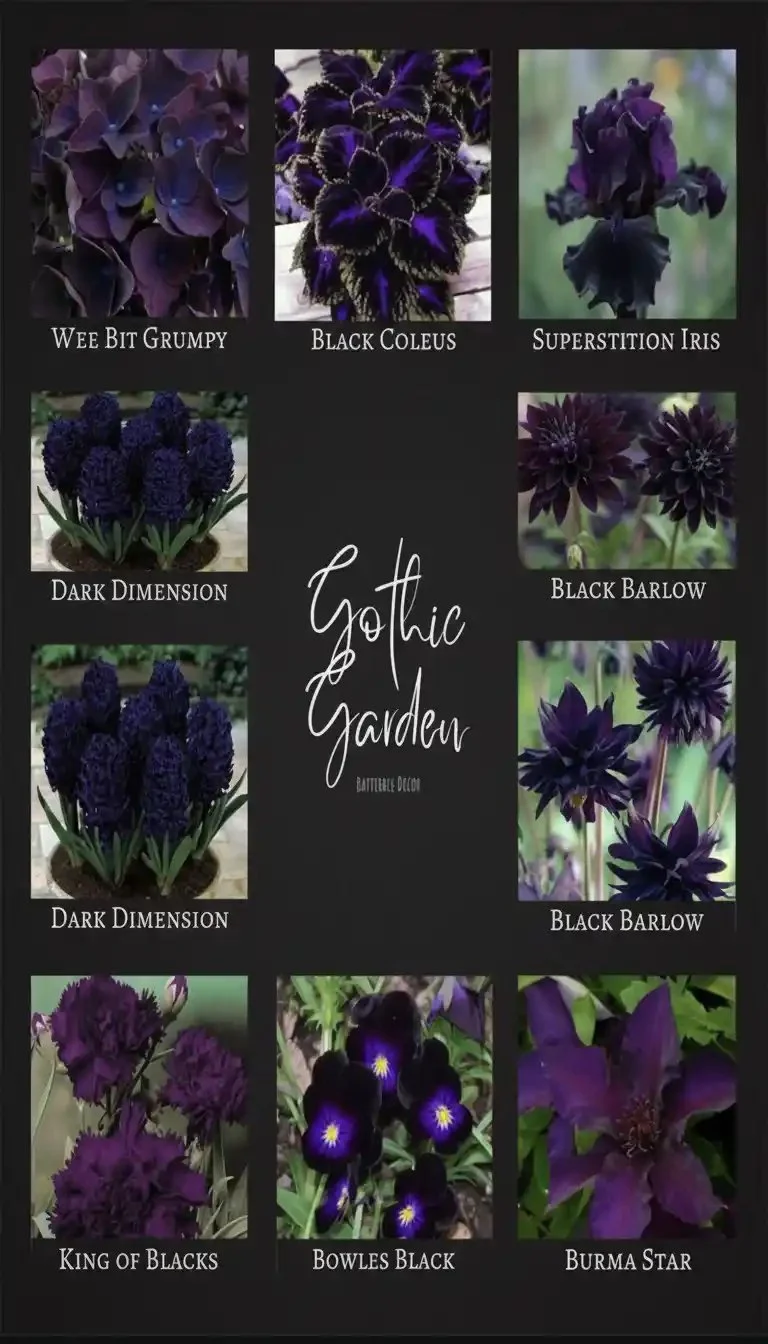 Gothic garden with dark flowers and architectural elements for enchanting landscape design.
