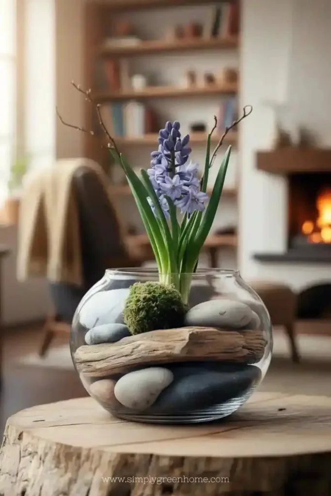 Natural Hyacinths in Glass with Wood and Stones: A Fresh Take on Home Decor 1 Natural hyacinths in glass arrangement with wood and stones