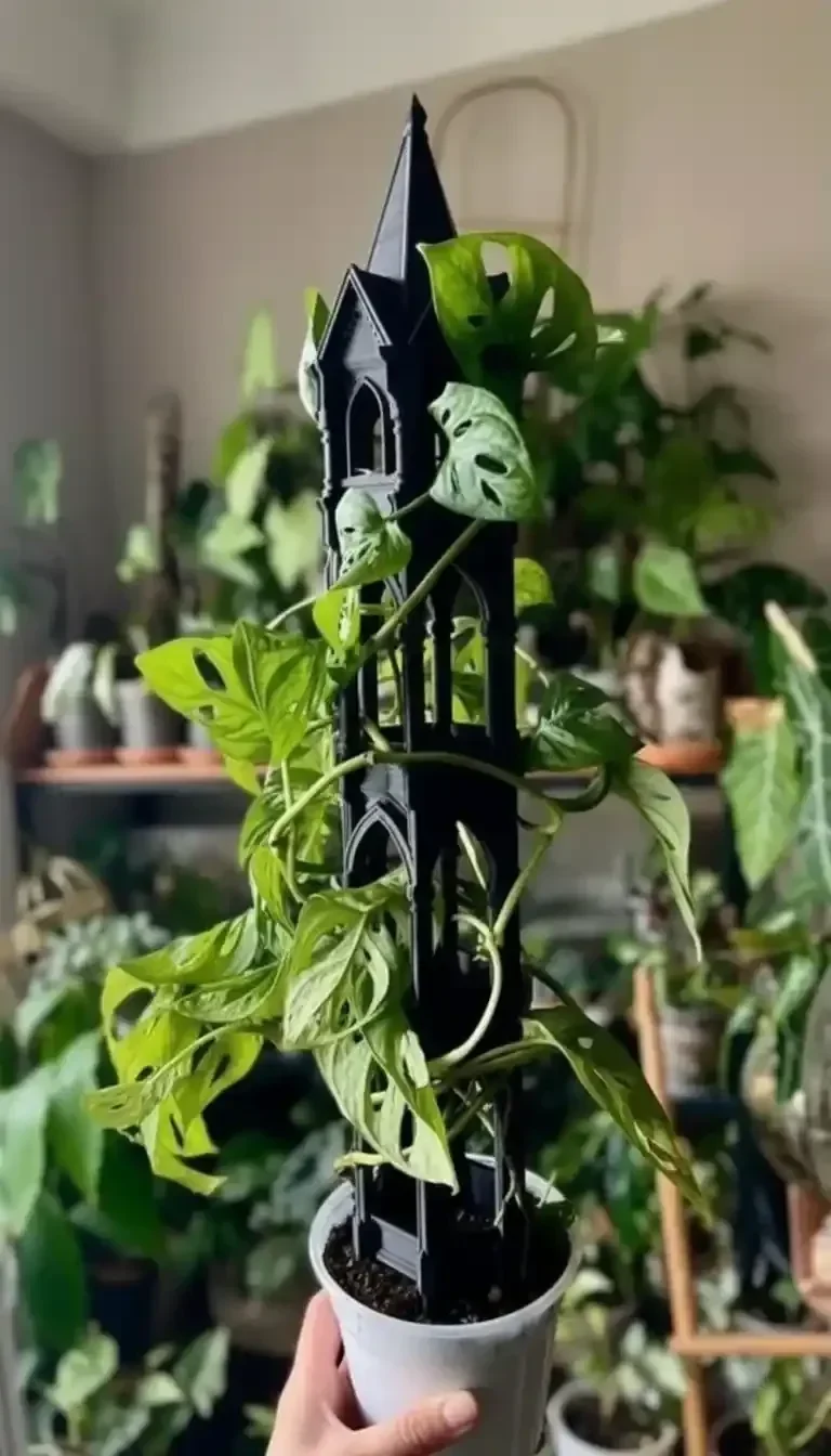 25 beautiful balcony garden ideas 2026 04 05 123256